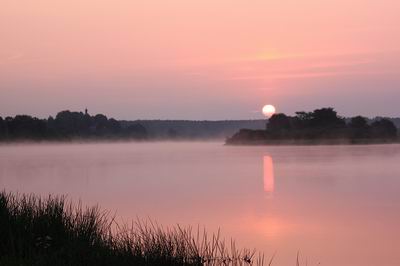 ������ � ���������. ���� ������� ������, 2010 �.